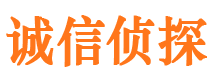 通川市私人侦探